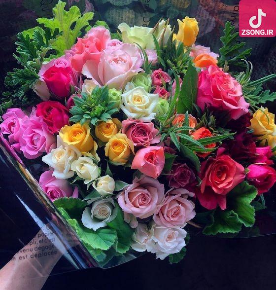 دانلود آهنگ رامش نیش / داره اشکام مثه بارون میریزه لبام از شوری اشکام میسوزه دانلود آهنگ رامش نیش / داره اشکام مثه بارون میریزه لبام از شوری اشکام میسوزه