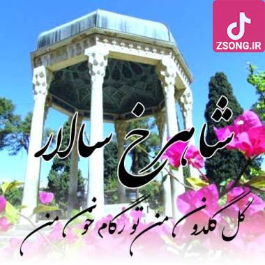 دانلود آهنگ  شاهرخ سالار گل گلدون من تو رگام خون من
