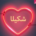 دانلود آهنگ شکیلا دل مجنون / در دل و جان خانه کردی عاقبت هردو را ویرانه کردی عاقبت