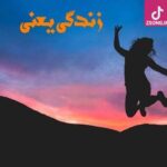 دانلود آهنگ شکیلا زندگی / هر چی تو دنیا غمه مال منه