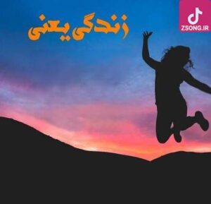 دانلود آهنگ شکیلا زندگی / هر چی تو دنیا غمه مال منه