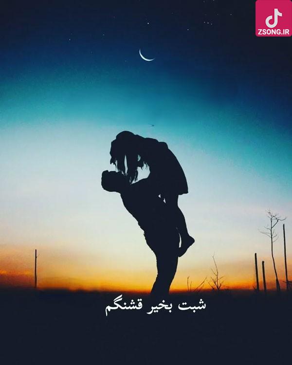 دانلود آهنگ شهره شبت بخیر قشنگترین بهانه، شبت بخیر، رویای عاشقونه
