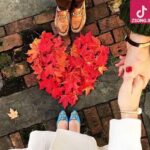 دانلود آهنگ سیمین غانم ای ساقی
