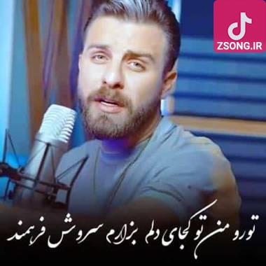 دانلود آهنگ تورو من تو کجای دلم بزارم سروش فرهمند
