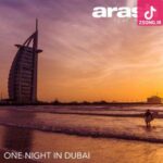 دانلود آهنگ آرش یک شب در دبی / با تو میزنه قلبم دانلود آهنگ آرش یک شب در دبی / با تو میزنه قلبم