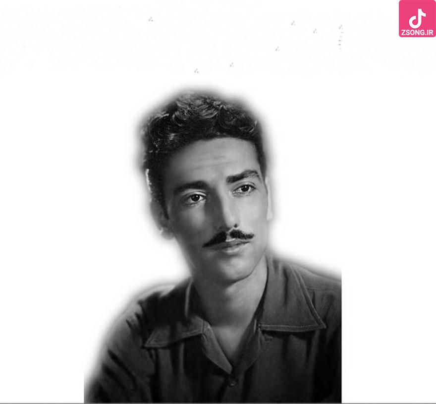 دانلود آهنگ داریوش رفیعی شب رویایی / شب به گلستان تنها منتظرت بودم