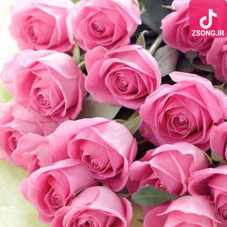 دانلود آهنگ هنگامه نفس / دلتنگ تو میشیم وای چه غمه خوبی