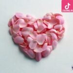 دانلود آهنگ شیلا ذره ذره / چه شبهایی که بیخواب تو بودم چه روزایی که بیتاب تو بودم دانلود آهنگ شیلا ذره ذره / چه شبهایی که بیخواب تو بودم چه روزایی که بیتاب تو بودم