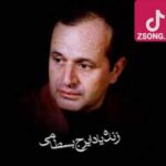 دانلود آهنگ ایرج بسطامی گریه کن که گر سیل خون گری، ثمر ندارد