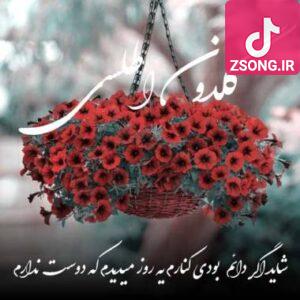 دانلود آهنگ  شاید اگر دائم بودی کنارم یه روز میدیدم که دوست ندارم