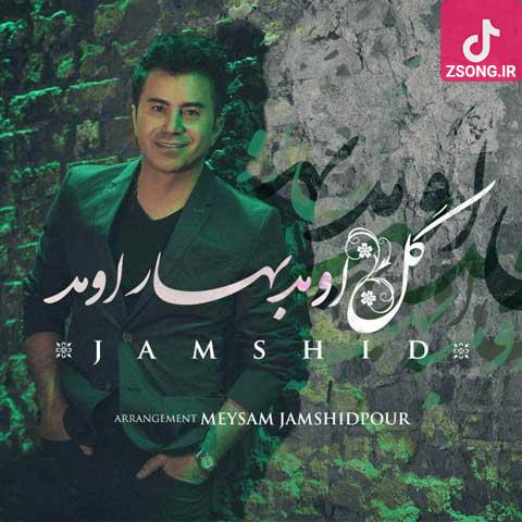 دانلود آهنگ جمشید گل اومد بهار اومد میرم به صحرا