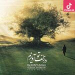 دانلود آهنگ علیرضا قربانی زلف سیاه (اجرای زنده) / بیم است که سودایت دیوانه کند ما را
