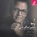 دانلود آهنگ علیرضا قربانی پل / من به دستان تو پل بستم به زیباتر شدن