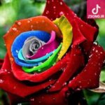 دانلود آهنگ گوگوش خطا کار