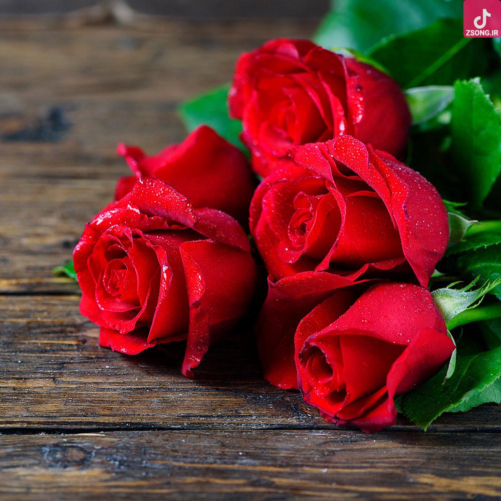 دانلود آهنگ هایده نوروز آمد پیروز آمد بهاران پیدا شد