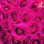 دانلود آهنگ هایده تو که نیستی از خودم بی خبرم کی بیاد و کی بشه هم سفرم