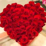 دانلود آهنگ هلن دوست دارم عشقت ارزومه دوست داشتنت همه زندگیمه