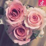 دانلود آهنگ هنگامه بوی عیدی بوی توپ بوی کاغذ رنگی