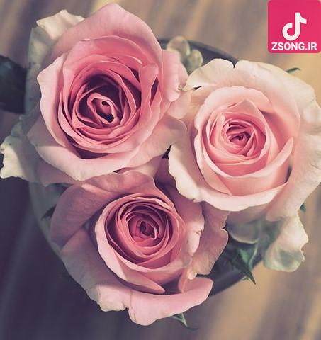 دانلود آهنگ هنگامه بوی عیدی بوی توپ بوی کاغذ رنگی
