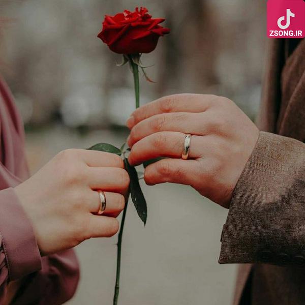 دانلود آهنگ هنگامه نفس (اجرای زنده)