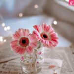 دانلود آهنگ سیمین غانم بسوزان / خاطرات عمر شیرین مرا یادبود عشق دیرین مرا