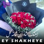 دانلود آهنگ  آهنگ ای شاخه ی پرگل قشنگم ریمیکس