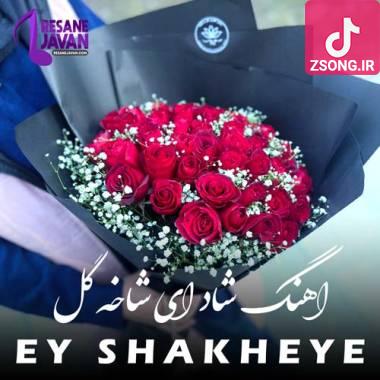 دانلود آهنگ  آهنگ ای شاخه ی پرگل قشنگم ریمیکس