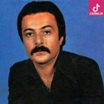 دانلود آهنگ شاهرخ مسافر / یه مسافر یه غریبه یه شبم بی پنجره