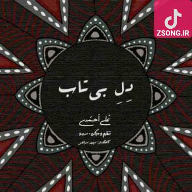 دانلود آهنگ دل بی‌تاب علی احمدی