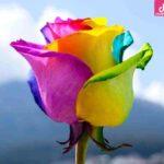 دانلود آهنگ الهه رفتم / بیا جانم به قربانت بیا