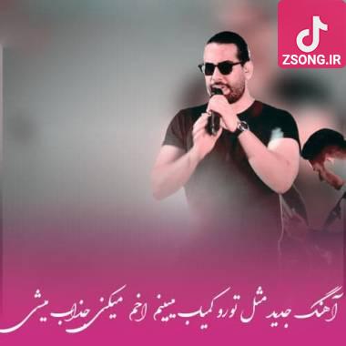 دانلود آهنگ مثل تورو کمیاب میبینم اخم میکنی جذاب میشی مجید رضوی