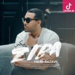 دانلود آهنگ مجید رضوی زیبا (ریمیکس)