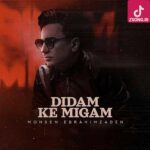 دانلود آهنگ محسن ابراهیم زاده دیدم که میگم / دلیل بردن بودی ولی دیگه نمیخوام دانلود آهنگ محسن ابراهیم زاده دیدم که میگم / دلیل بردن بودی ولی دیگه نمیخوام