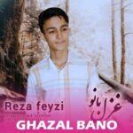 دانلود آهنگ غزل بانو رضا فیضی