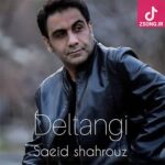 دانلود آهنگ سعید شهروز دلتنگی / فقط بمون کنارم بگو چی جز تو دارم