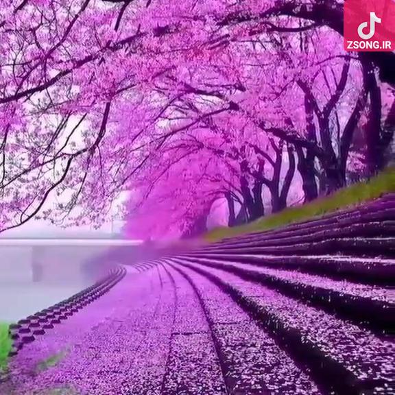 دانلود آهنگ سیمین غانم نغمه های جوانی دانلود آهنگ سیمین غانم نغمه های جوانی