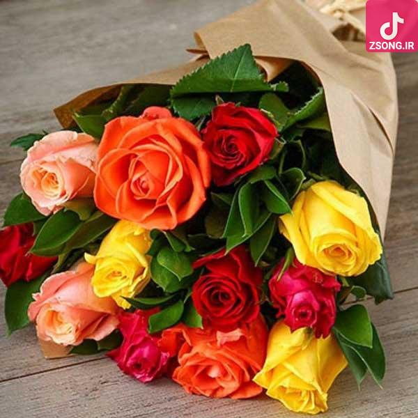 دانلود آهنگ الهه آسوده خاطر / آن خاطر آسوده ی تو چشم گنه آلوده ی تو دانلود آهنگ الهه آسوده خاطر / آن خاطر آسوده ی تو چشم گنه آلوده ی تو