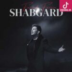 دانلود آهنگ فرزاد فرزین شبگرد / هیشکی حال منو نمیدونه دانلود آهنگ فرزاد فرزین شبگرد / هیشکی حال منو نمیدونه