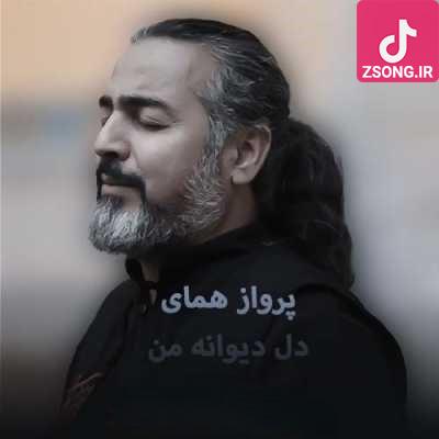 دانلود آهنگ پرواز همای دل دیوانه من / غم با دل دیوانه ی من خویش شده است