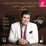 دانلود آهنگ سالار عقیلی تنها میمانم میدانم می آیی با تو آرامم بی ترس از تنهایی دانلود آهنگ سالار عقیلی تنها میمانم میدانم می آیی با تو آرامم بی ترس از تنهایی