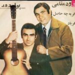 دانلود آهنگ داوود مقامی گریه چه حاصل ای دل غافل که او به ناگه رفت و نیومد