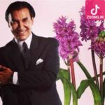 دانلود آهنگ فرامرز آصف دیشب تو کجا بودی من خواب تو را دیدم بین همه ی گل ها از شاخه تو را چیدم دانلود آهنگ فرامرز آصف دیشب تو کجا بودی من خواب تو را دیدم بین همه ی گل ها از شاخه تو را چیدم