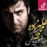 دانلود آهنگ محمد علیزاده حالمو زیبا کن / جاده تحویل بهاره حالمو زیبا کن روی دنیای منو به روی عشقت وا کن