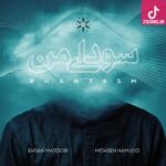 دانلود آهنگ محسن نامجو لحظه دیدار / دل می تپدم باز درین لحظه ی دیدار