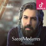 دانلود آهنگ سعید مدرس تنهایی هرکس به اندازه حرفای نگفتشه دانلود آهنگ سعید مدرس تنهایی هرکس به اندازه حرفای نگفتشه