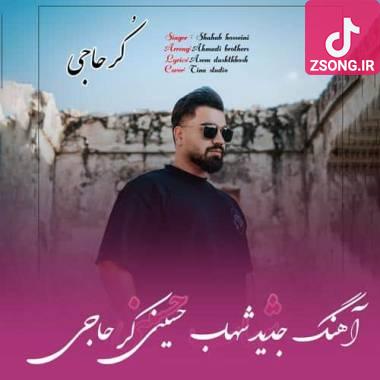 دانلود آهنگ کر حاجی شهاب حسینی
