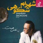 دانلود آهنگ شهرام شکوهی تا نفس هست / بی دلا مست با من هم دست دانلود آهنگ شهرام شکوهی تا نفس هست / بی دلا مست با من هم دست