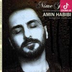 دانلود آهنگ امین حبیبی نیمه جون (به چشمات قسم من بی تو از این زندگی سیرم) دانلود آهنگ امین حبیبی نیمه جون (به چشمات قسم من بی تو از این زندگی سیرم)