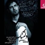 دانلود آهنگ حامد زمانی دلتنگ (دلتنگم آقا جون دلتنگ دلتنگم با پای پیاده زدم به جاده کوله بارم غم)