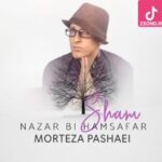 دانلود آهنگ مرتضی پاشایی نزار بی همسفر شم رفیق راه من چرا دوسم نداری چیه گناه من دانلود آهنگ مرتضی پاشایی نزار بی همسفر شم رفیق راه من چرا دوسم نداری چیه گناه من